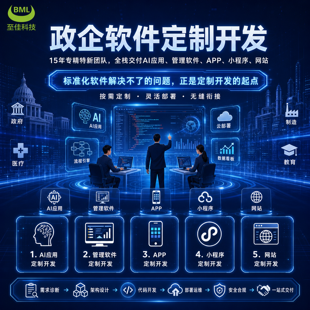 政企软件定制开发 | 15年专精特新团队，全栈交付AI应用、管理软件、APP、小程序、网站